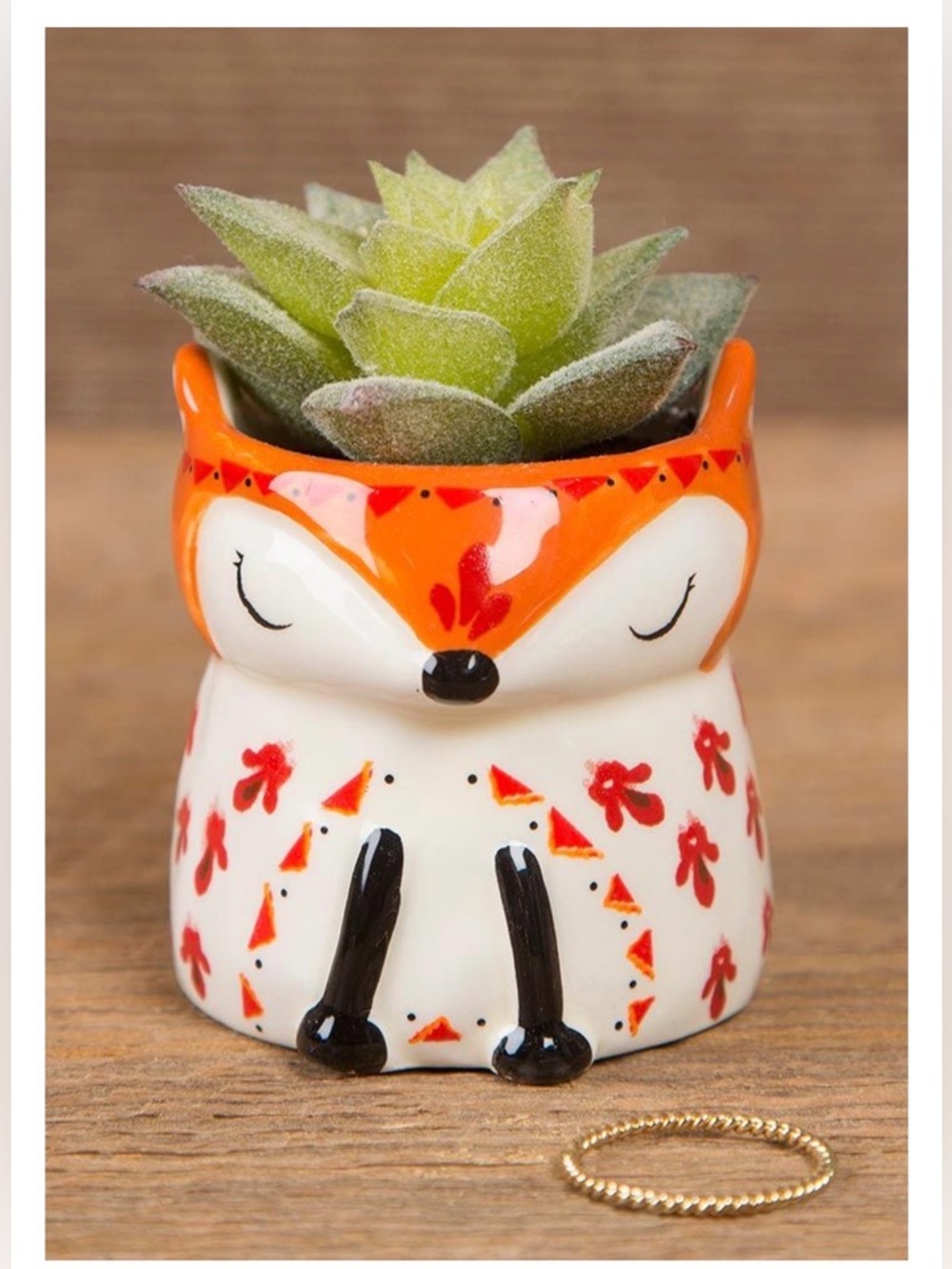 Natural Life, designed for small Fox succulents.
